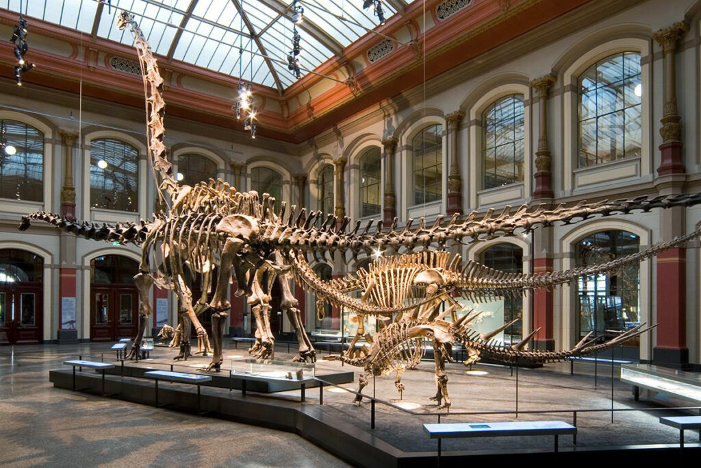 Naturkundenmuseum Berlin
