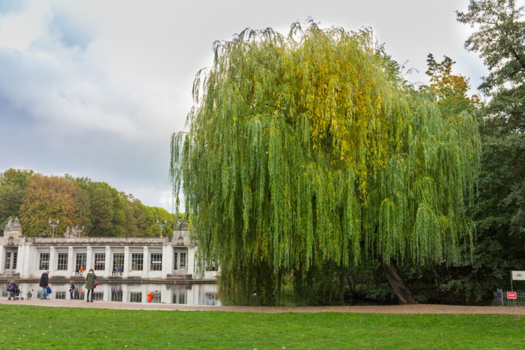 Sport im Park Berlin - Rudolph-Wilde-Park
