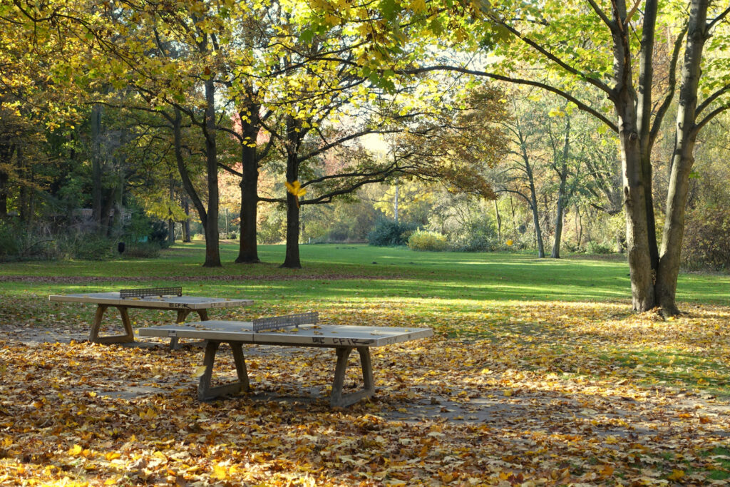 Sport im Park im Tiergarten Berlin