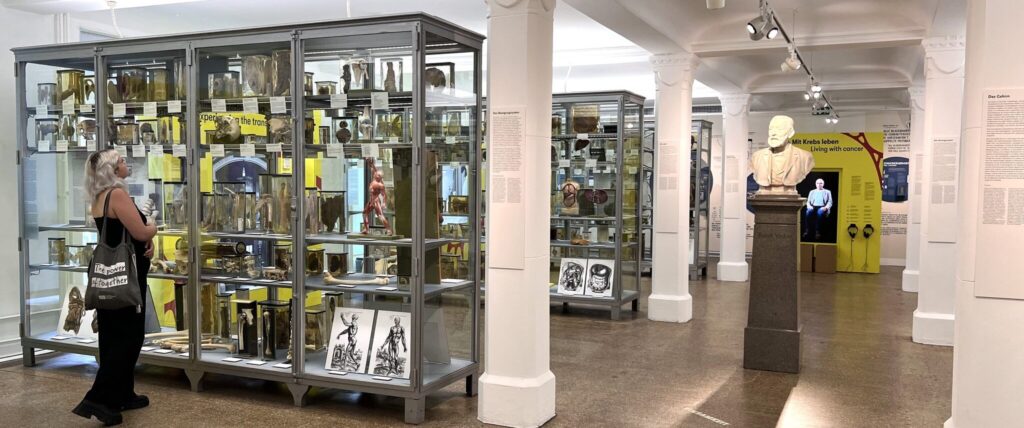 ungewöhnliches Berliner Medizinhistorisches Museum